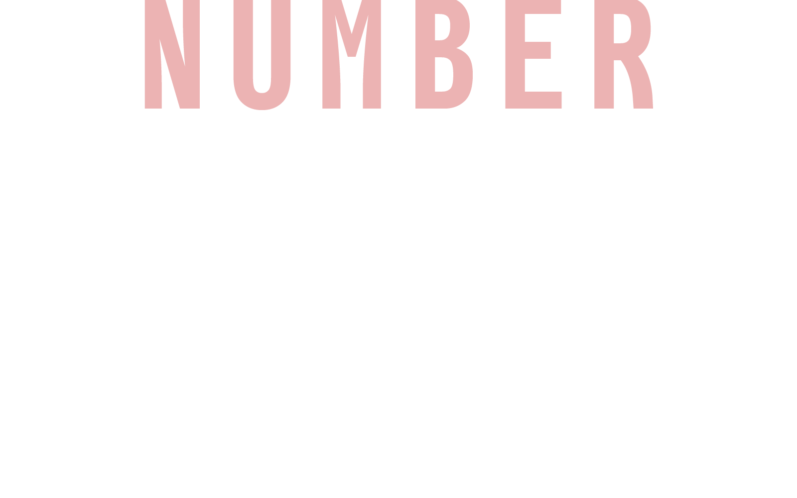 NUMBER